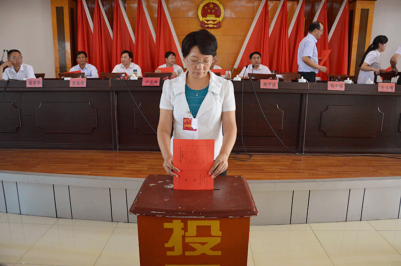 镇党委书记陈丽珺讲话:"下半年政府工作的各项目标任务已经确定,我镇