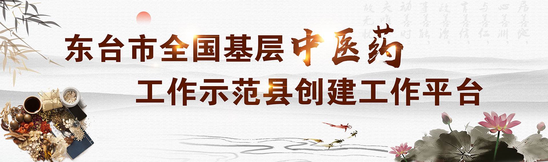 东台市全国基层中医药工作示范县创建工作平台