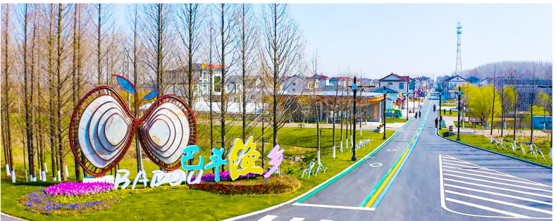 东台市人民政府 综合动态 弶港举全镇之力打造更美巴斗