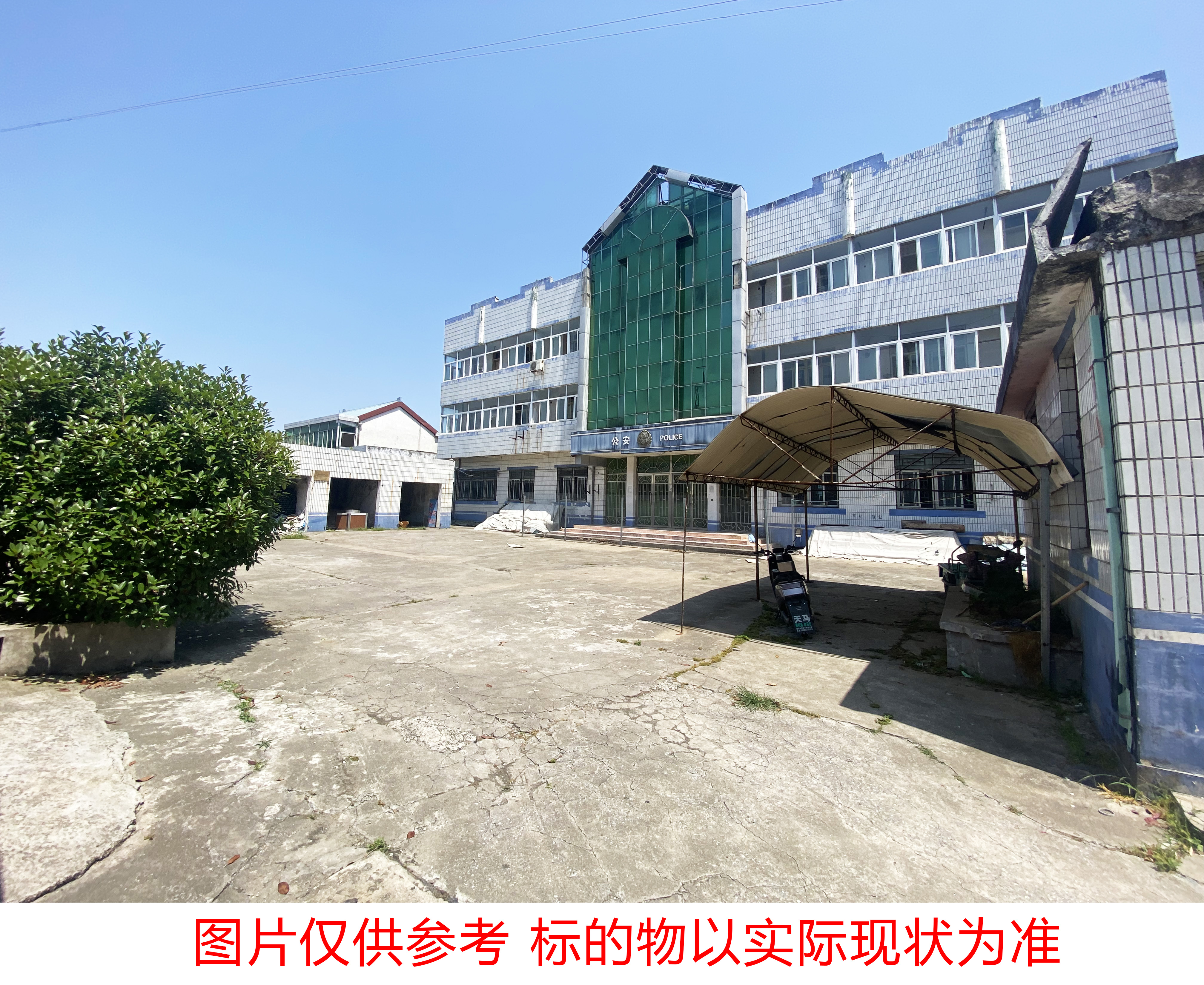 唐洋3.jpg