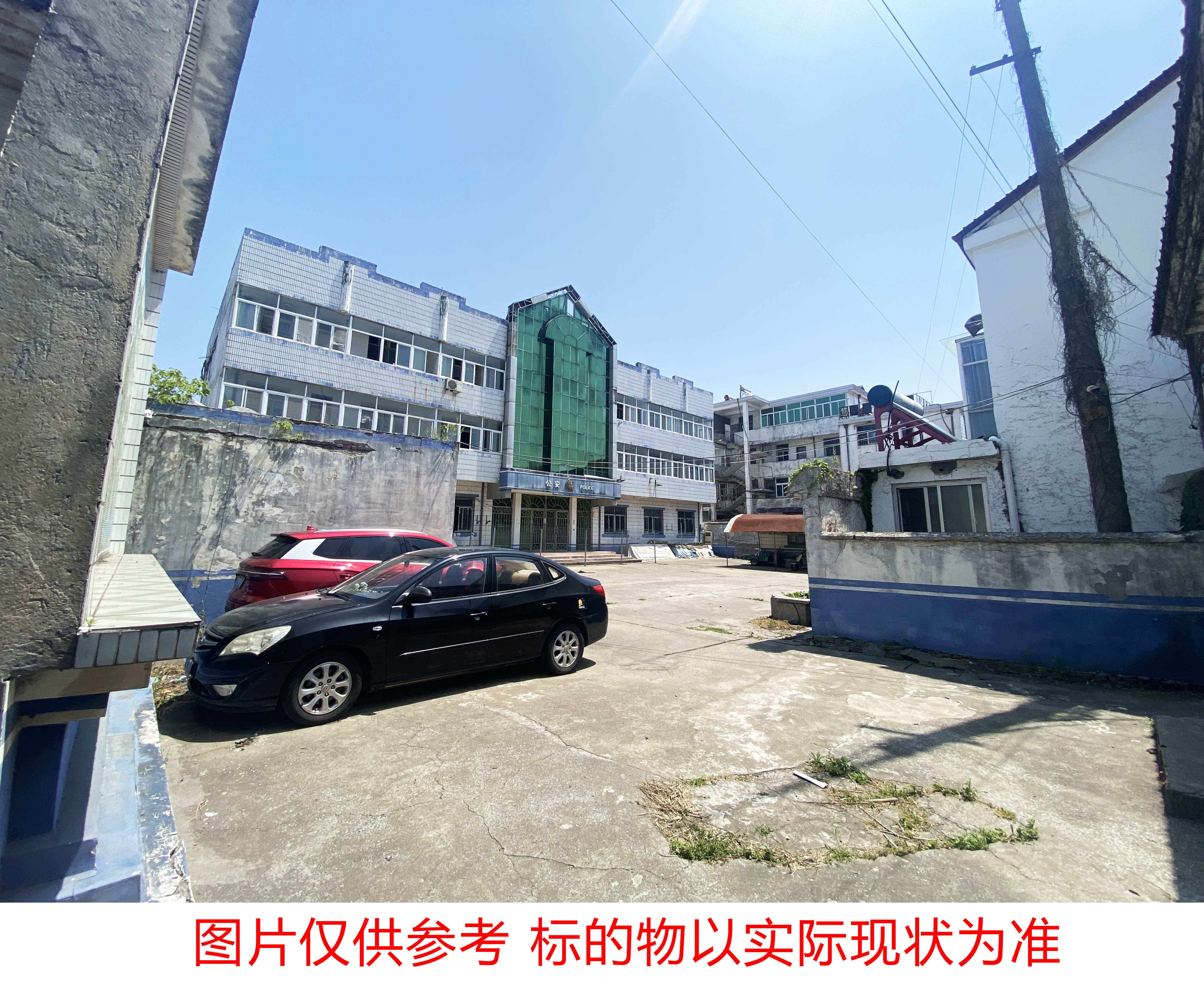 唐洋2.jpg