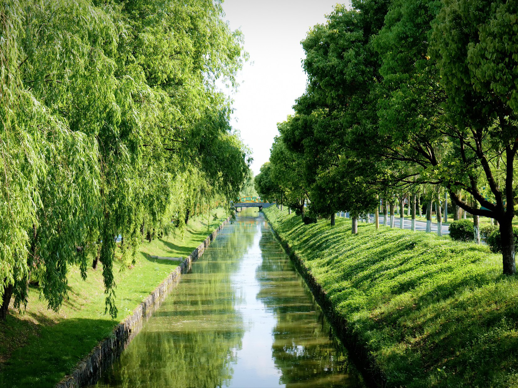 五烈治理河道生态抓全局显成效