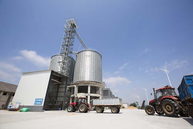 新曹农场小麦亩产创历史最好水平