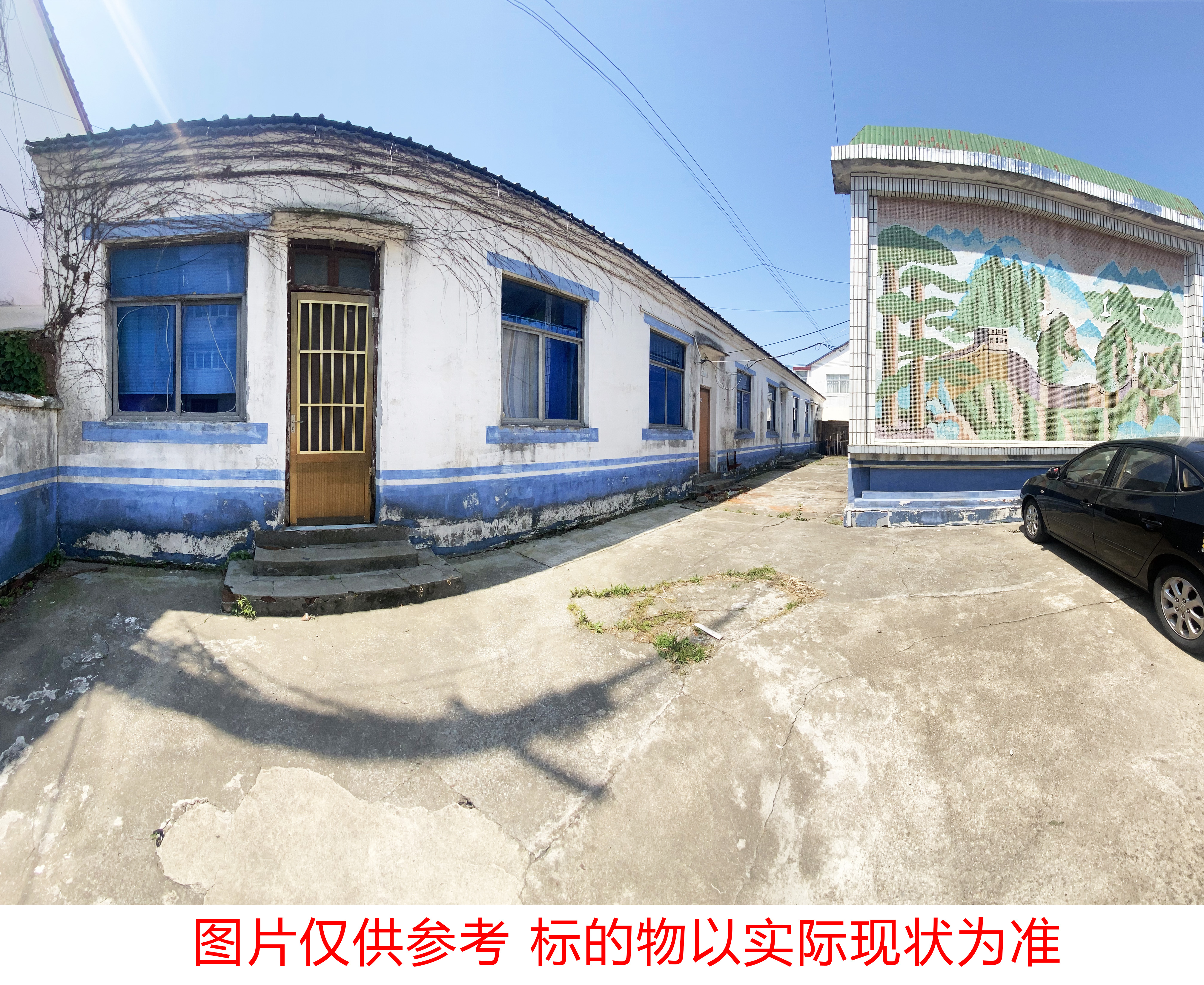 唐洋.jpg